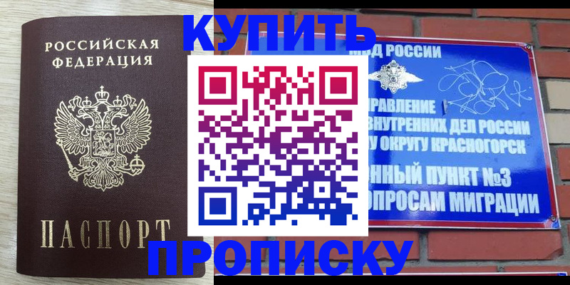 прописка гарантия в Куйбышеве